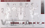 Points and Meridians of Acupuncture Laminated Chart